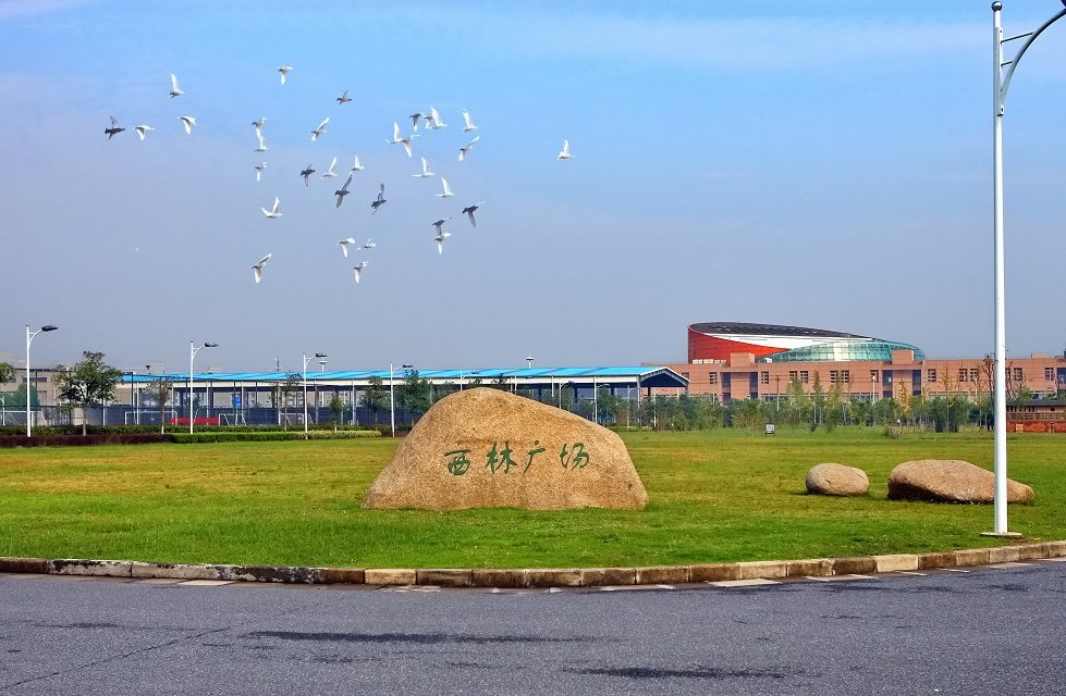 校园风采